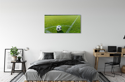 Canvas print Football stadium grass