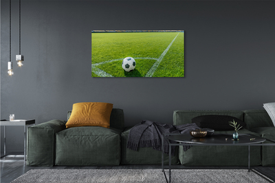 Canvas print Football stadium grass