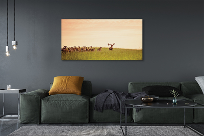 Canvas print A herd of deer sunrise on the field