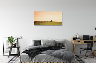 Canvas print A herd of deer sunrise on the field