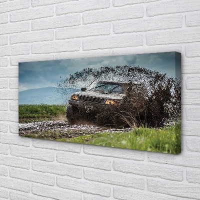 Canvas print Car wolkenberge field