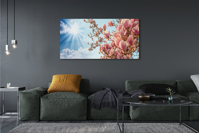 Canvas print Sky sun magnolia