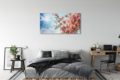 Canvas print Sky sun magnolia