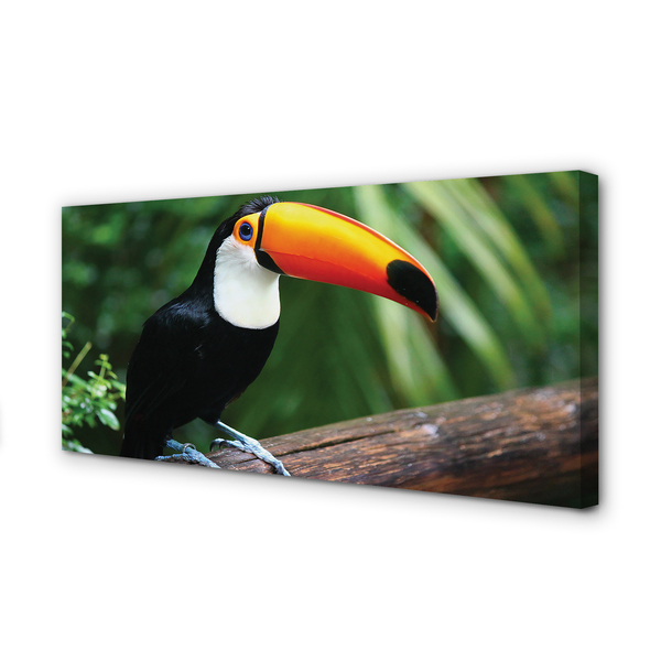 Canvas print Toucan on a branch