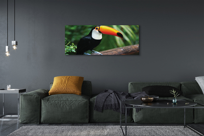 Canvas print Toucan on a branch