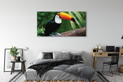 Canvas print Toucan on a branch