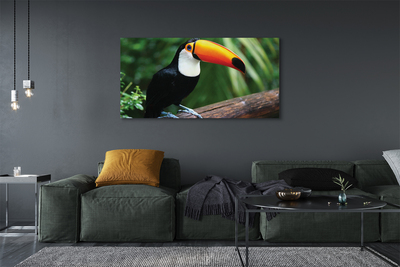 Canvas print Toucan on a branch