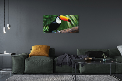 Canvas print Toucan on a branch