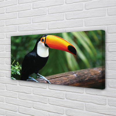 Canvas print Toucan on a branch
