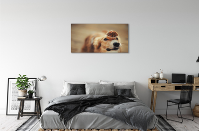 Canvas print Small dog bread