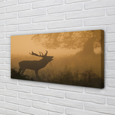 Canvas print Rising of the sun deer
