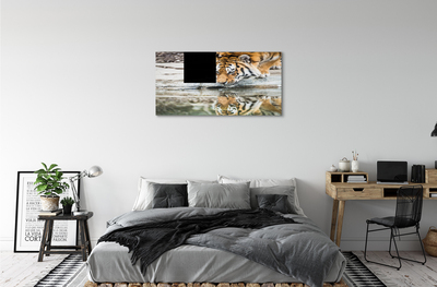 Canvas print Tiger drink