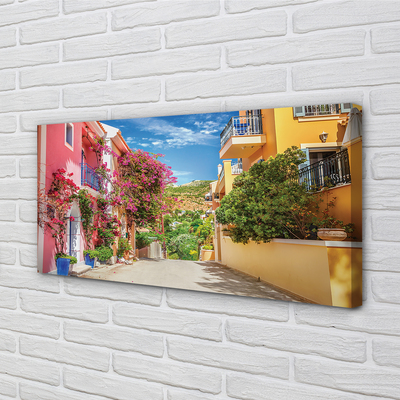 Canvas print Greece flowers building up