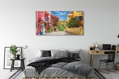 Canvas print Greece flowers building up
