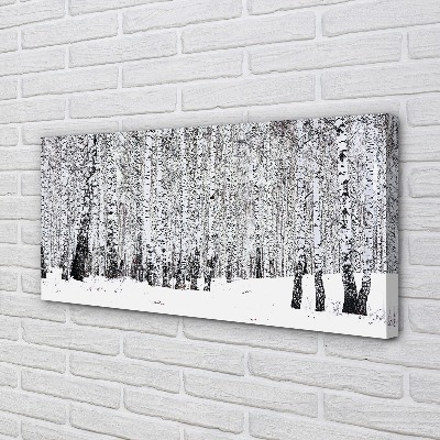 Canvas print Winter birch