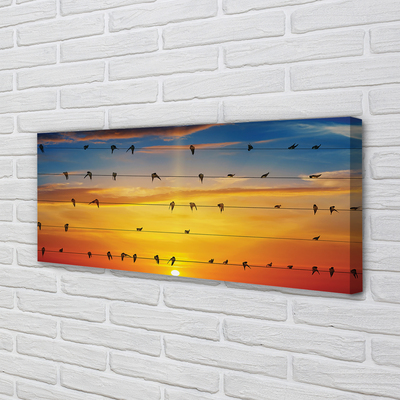 Canvas print Birds on sunset ropes