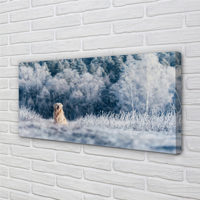 Canvas print Winter mountain dog