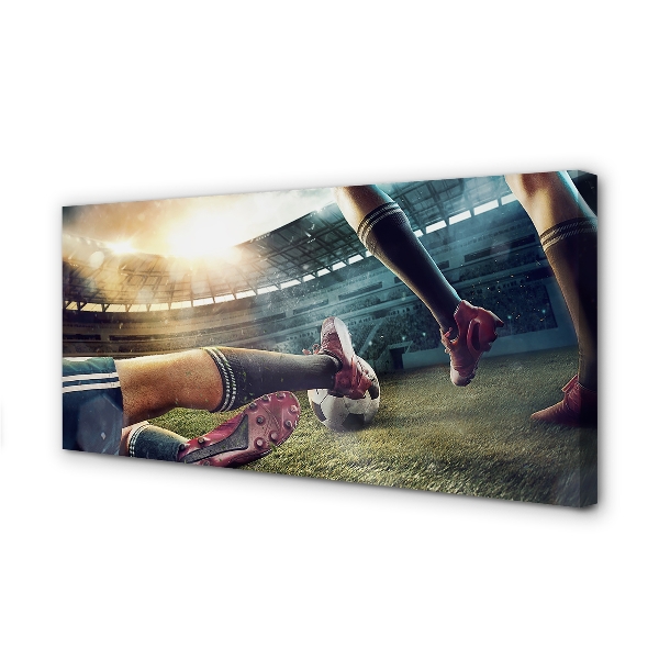 Canvas print Football stadium cork