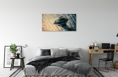 Canvas print The shape of the head