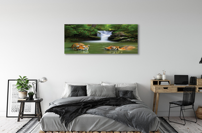 Canvas print Waterfall tiger