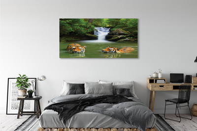 Canvas print Waterfall tiger