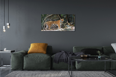 Canvas print Tiger jungle