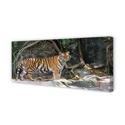 Canvas print Tiger jungle