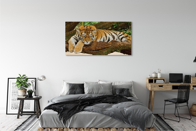 Canvas print Tiger tree