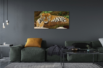 Canvas print Tiger tree