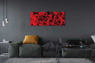 Canvas print Roses