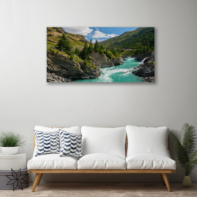 Canvas print Mountains river landscape blue green