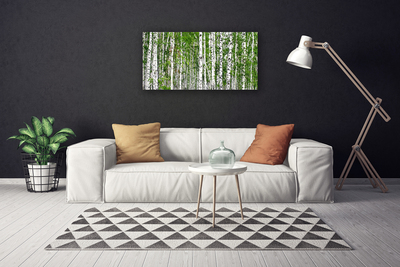 Canvas print Birch forest trees nature green white