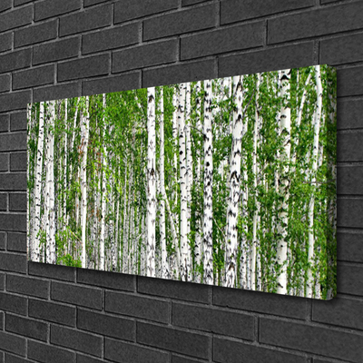 Canvas print Birch forest trees nature green white