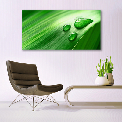 Canvas print Leaf water droplets floral green
