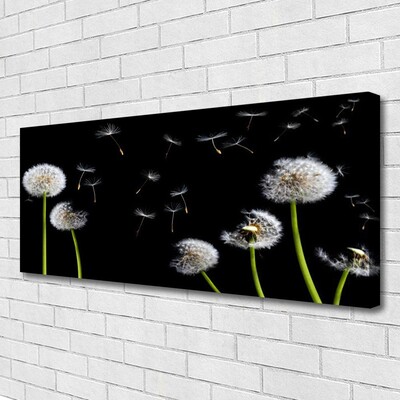 Canvas print Dandelions floral black green white