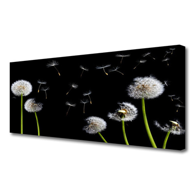 Canvas print Dandelions floral black green white