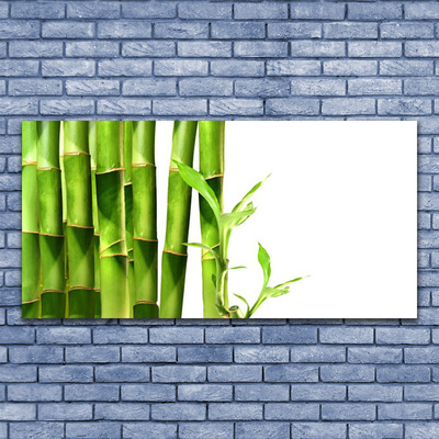 Canvas print Bamboo floral green white