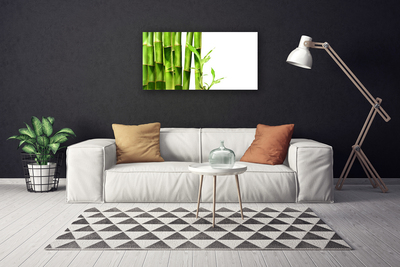 Canvas print Bamboo floral green white