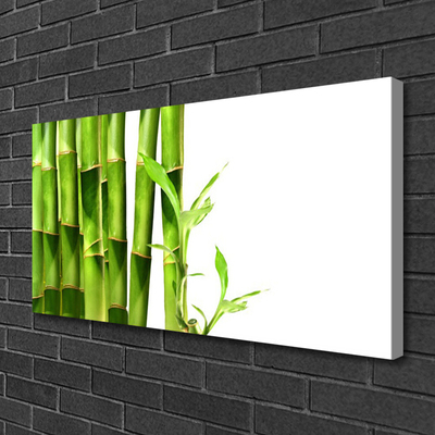 Canvas print Bamboo floral green white