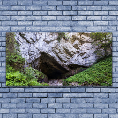 Canvas print Mountain cave nature green grey