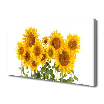Canvas print Sunflowers floral yellow gold green