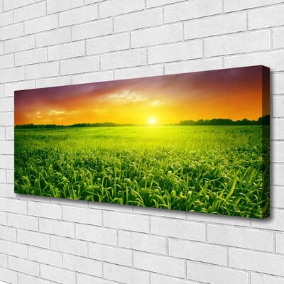 Canvas print Cereal field sunrise floral green red