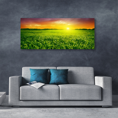 Canvas print Cereal field sunrise floral green red