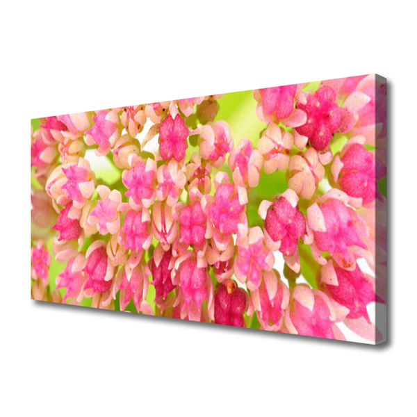 Canvas print Flower blossom floral pink