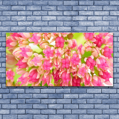 Canvas print Flower blossom floral pink