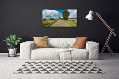 Canvas print Country road pavement landscape green blue