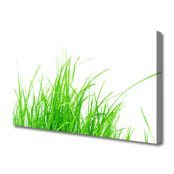 Canvas print Grass floral green white