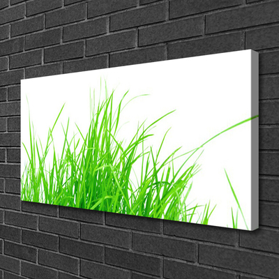 Canvas print Grass floral green white