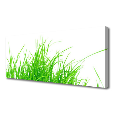 Canvas print Grass floral green white