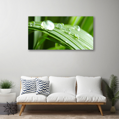 Canvas print Leaf dew drops floral green